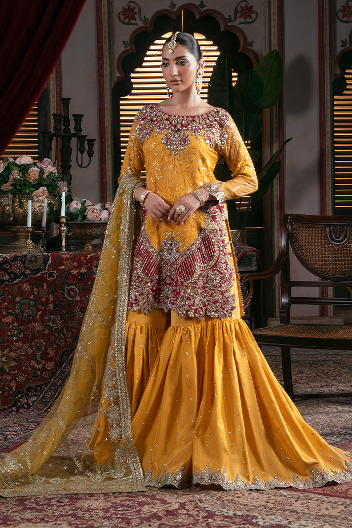 IB-55 Roshni