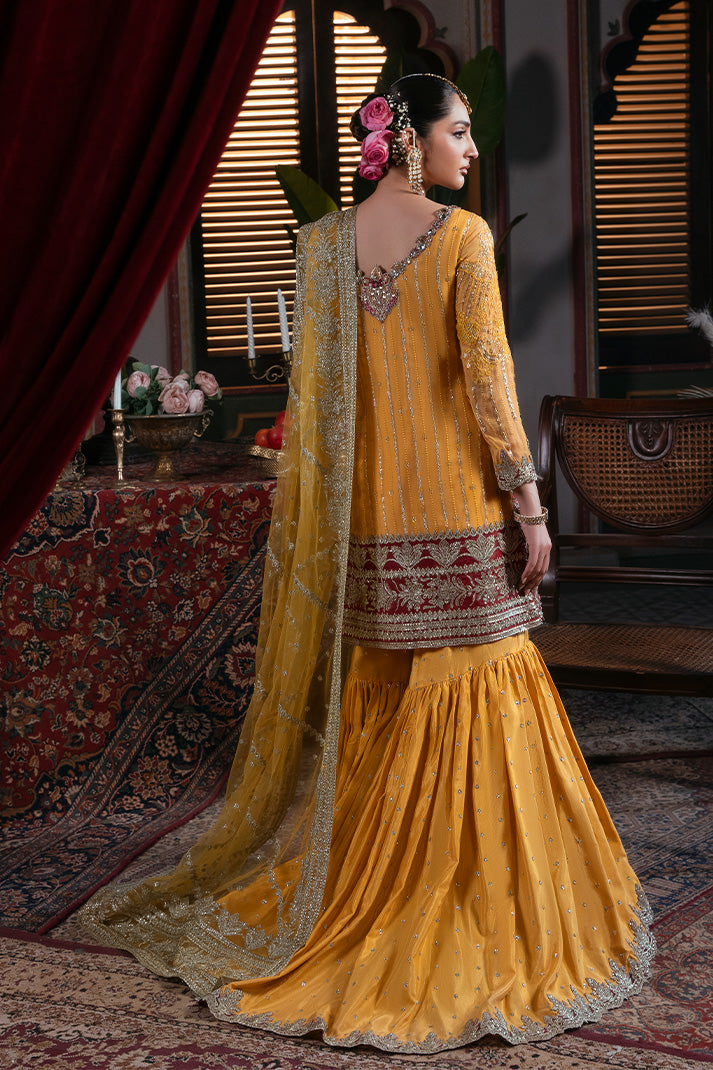 IB-55 Roshni