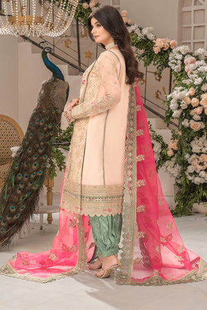 IP-109 Saanvi